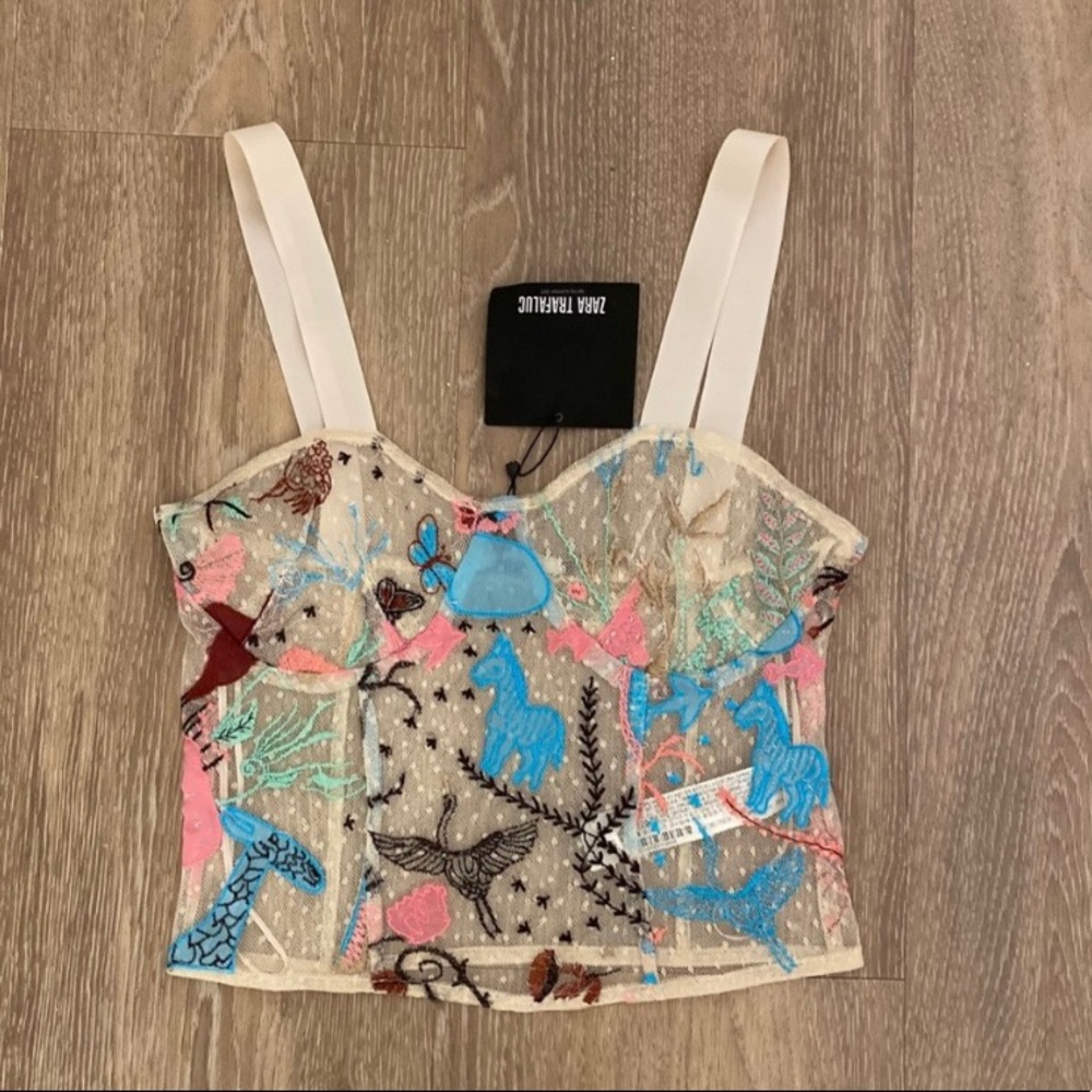 Zara Mesh Crop Top